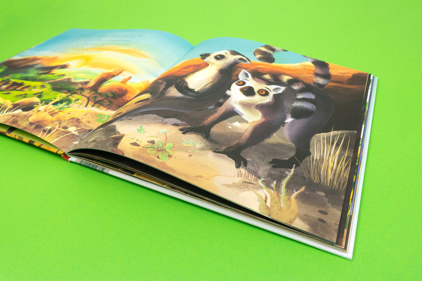 Volanas Madagaskar-Abenteuer