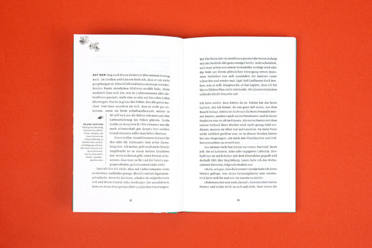 Popcorn süß-salzig