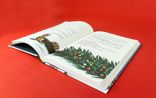 Die Weihnachtssuperhelden. Verflixt und zugeschneit