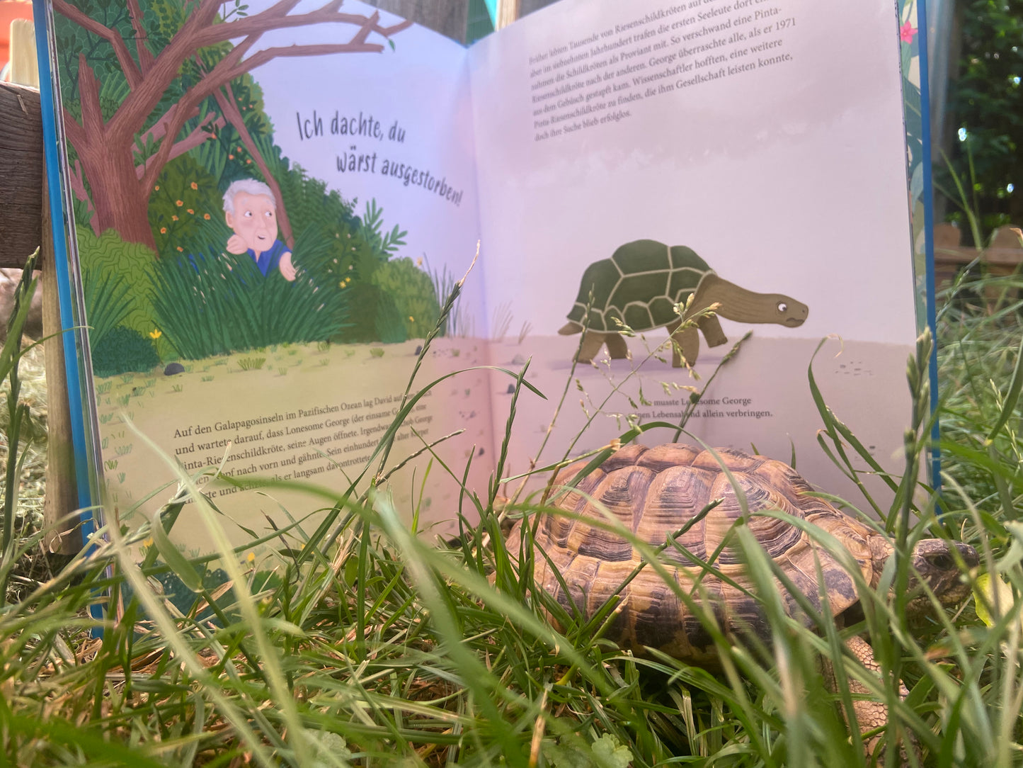 Sir David Attenborough - Ein Leben für die Tiere