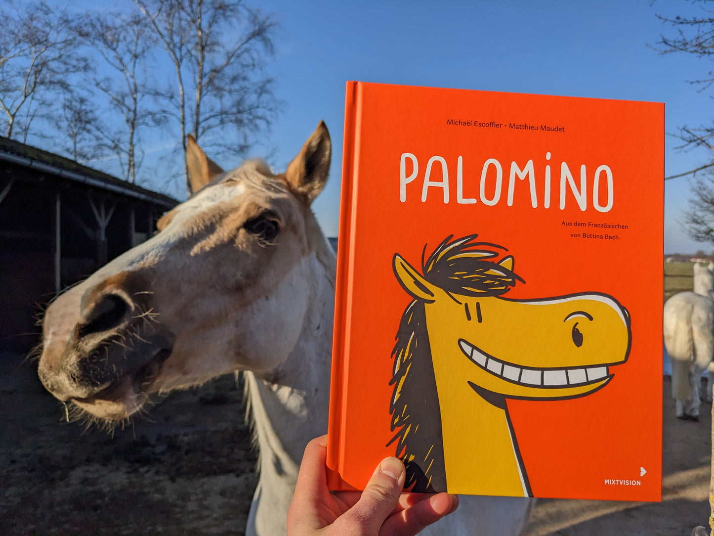 Palomino